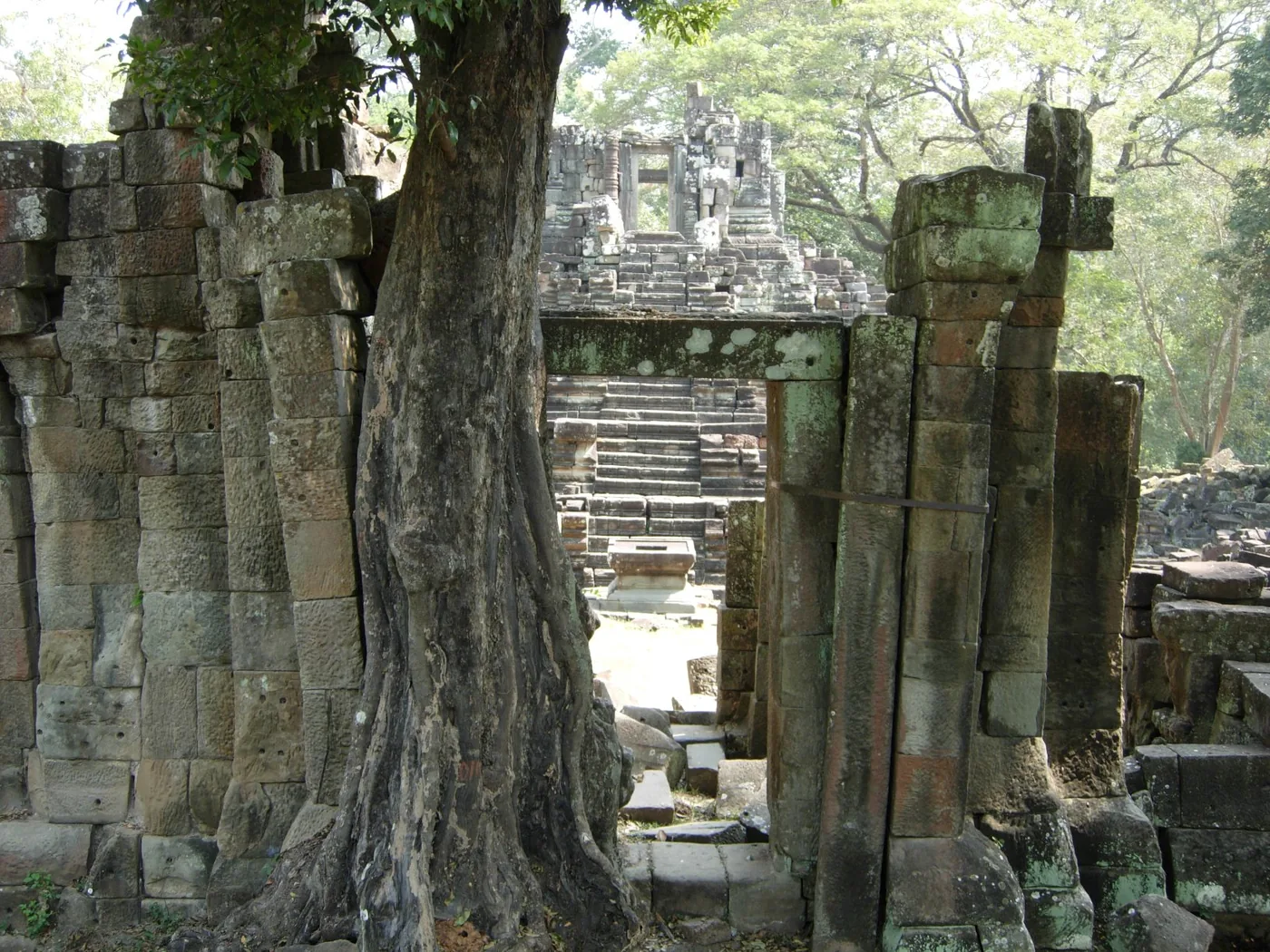 Temple Tの大木と石造りの門。2009年公開の過去資料写真。原記事の門との同一性は未確認。