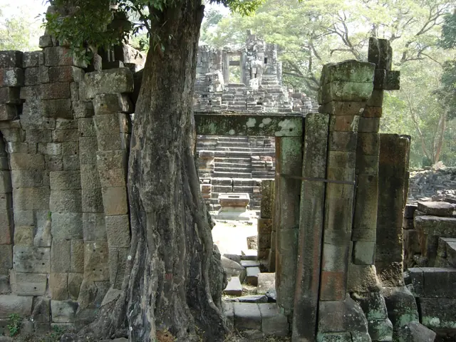 Temple Tの過去資料写真（2009年公開）。原記事の取材写真とは別で、門の同一性は未確認です。